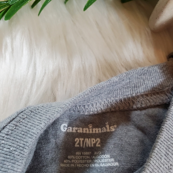 🌿5/$25 Garanimals Gray Cool Like Dad Shirt | 2T - Picture 7 of 7